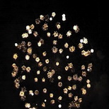 Twice crackling rain